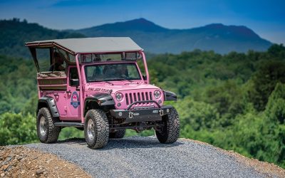 Pigeon Forge for Student Groups