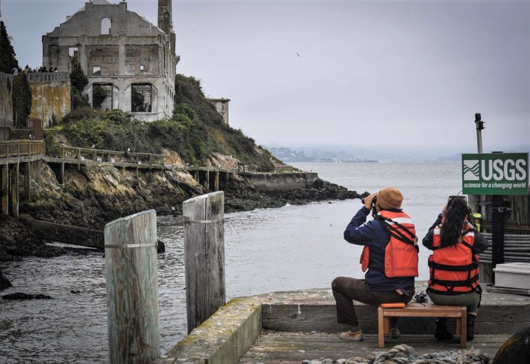 Alcatraz Island birdwatching. Photo credit Alcatraz Island Facebook 768x528