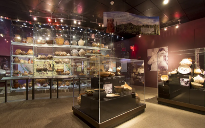 Arizona State Museum