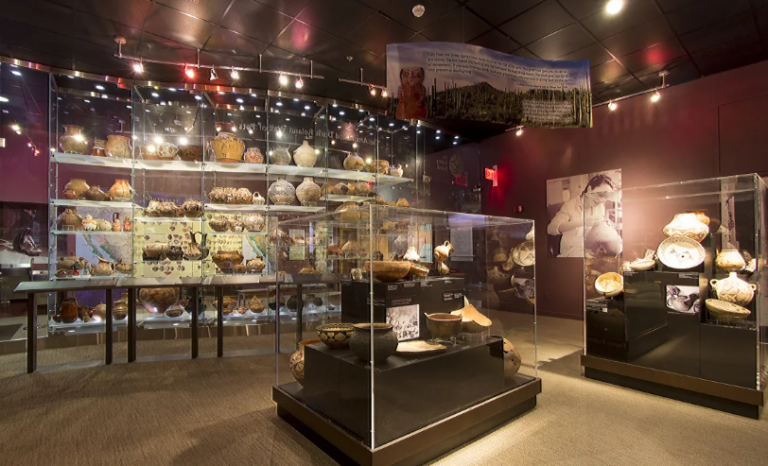 Arizona State Museum website 1 768x466