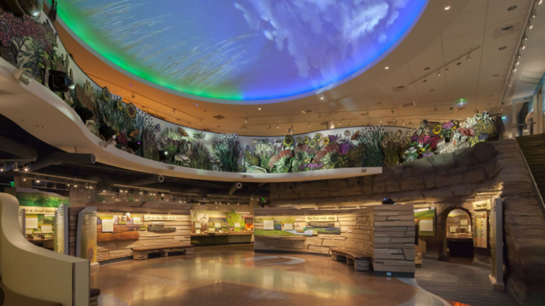 Flint Hills Discovery Center website 2 768x431