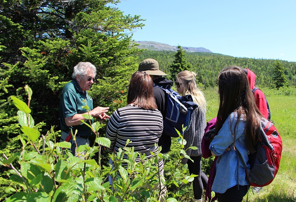 Gros Morne National Park