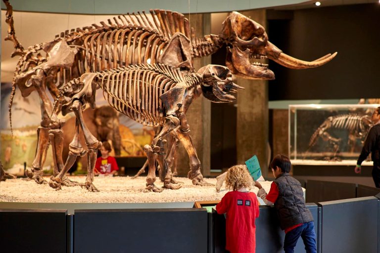 La Brea Tar Pits and Museum children at exhibit. Photo credit La Brea Tar Pits and Museum Facebook 768x512
