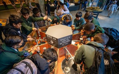 La Brea Tar Pits and Museum