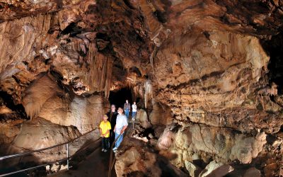 7 Top Redding, California, Field Trip Ideas