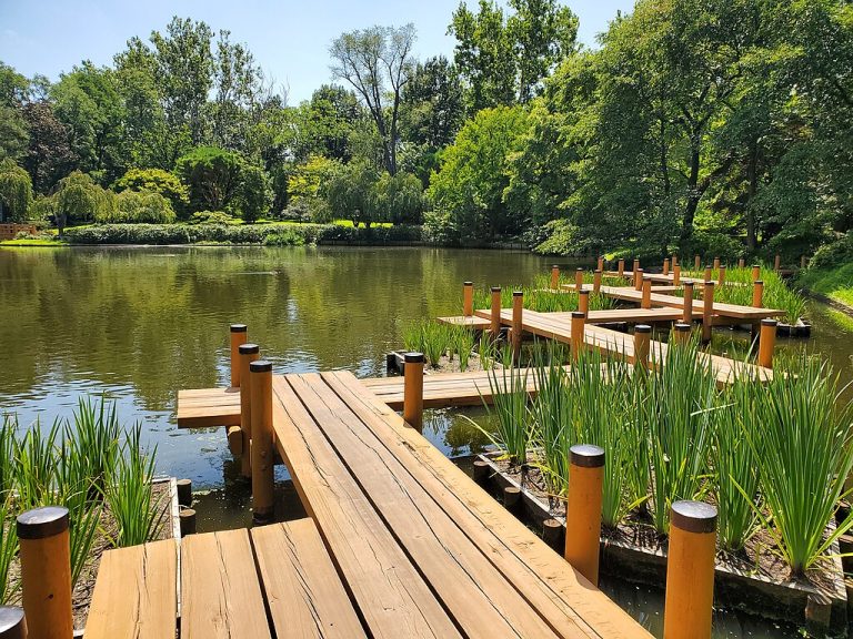 Missouri Botanical Garden Jouaienttoi CC BY SA 4.0 768x576