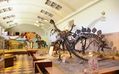 Natural History Museum of Utah