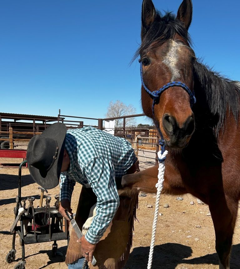 New Mexico Farm Ranch Heritage Museum live demonstrations. Photo credit New Mexico Farm Ranch Heritage Museum Facebook 768x860