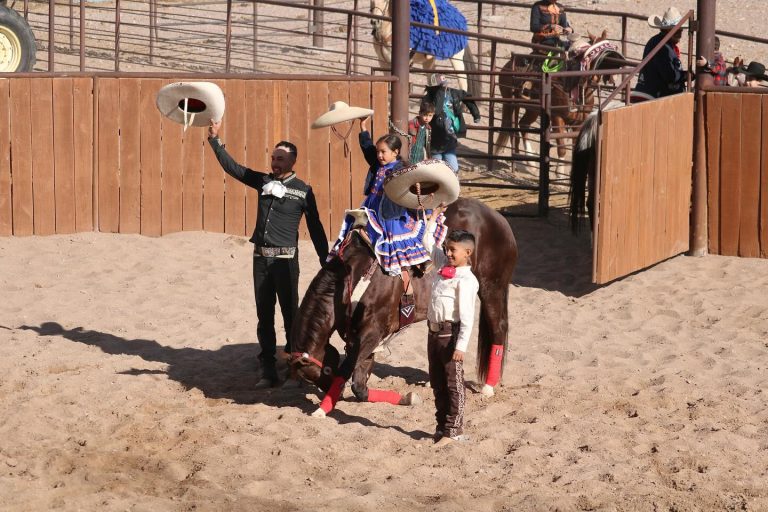 New Mexico Farm Ranch Heritage Museum rodeo fun. Photo credit New Mexico Farm Ranch Heritage Museum Facebook 768x512