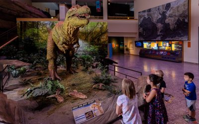 New Mexico Museum of Natural History and Science