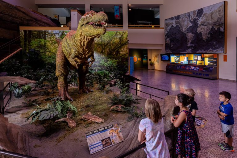 New Mexico Museum of Natural History Science Young Explorers Camp. Photo credit New Mexico Museum of Natural History Science Facebook 768x512