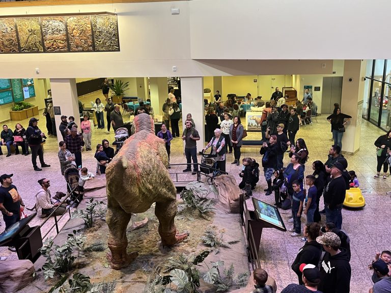 New Mexico Museum of Natural History Science fun at the museum. Photo credit New Mexico Museum of Natural History Science Facebook 768x576
