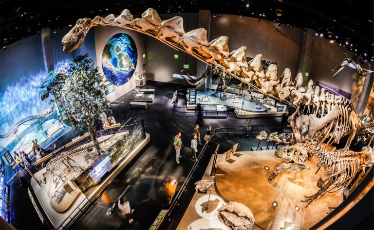 Perot Museum of Nature and Science dinosaur exhibit 2. Photo credit Perot Museum Facebook 768x474