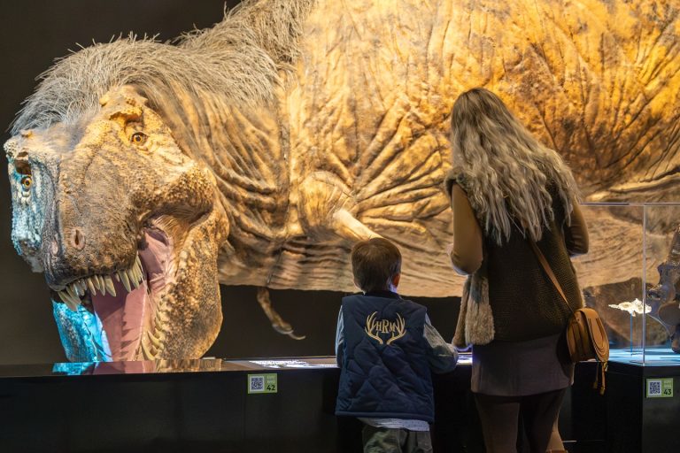 Perot Museum of Nature and Science dinosaur exhibit. Photo credit Perot Museum Facebook 768x512