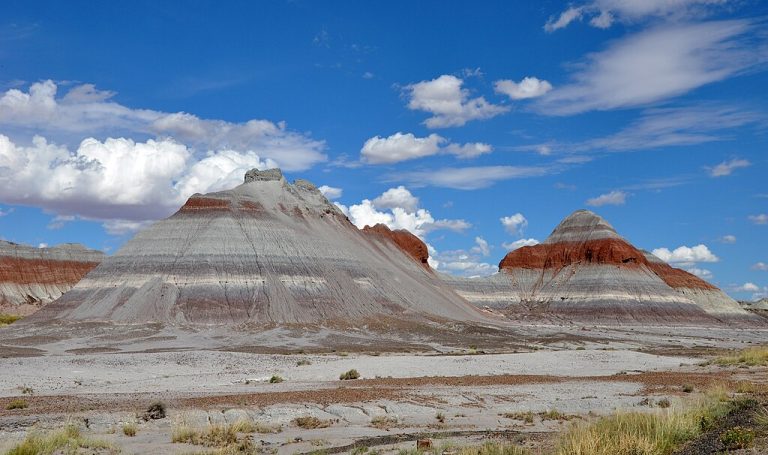 Petrified Forest National Park Finetooth CC BY SA 3.0 768x455
