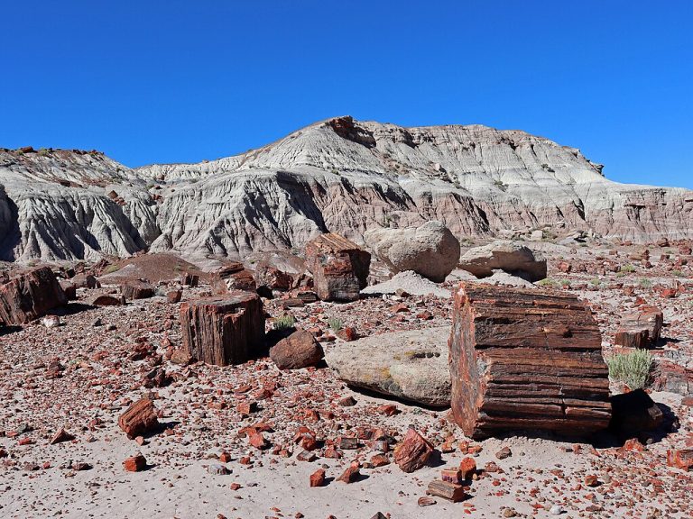Petrified Forest National Park Jeffhollett CC BY SA 4.0 768x576