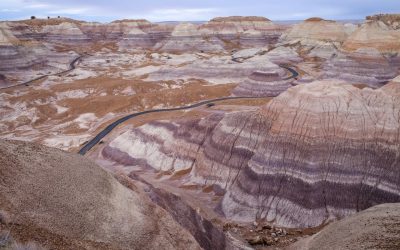 Petrified Forest National Park