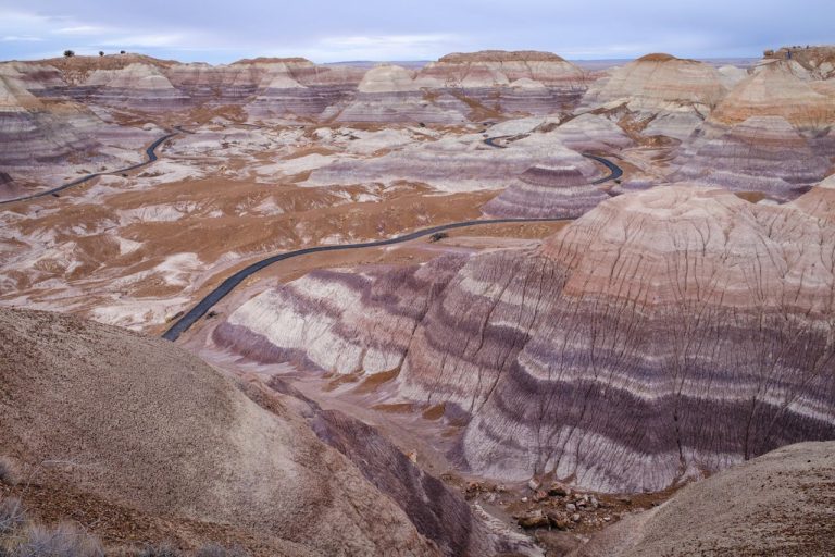Petrified Forest National Park Photo by Alex Gonzo on Pexels 768x512