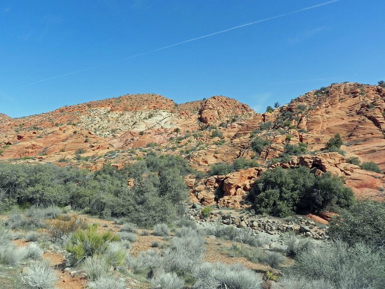 Red Cliffs Desert Reserve Fredlyfish4 CC BY SA 3.0 1 768x576