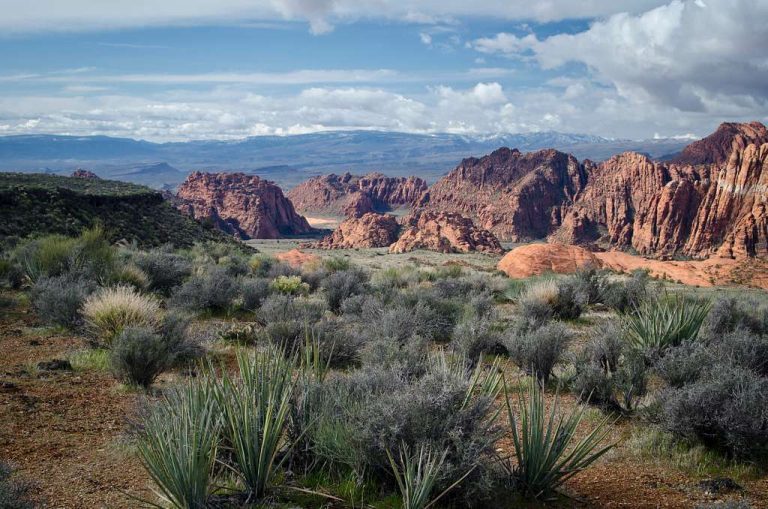 Red Cliffs Desert Reserve U.S. Fish and Wildlife Service public domain 1 768x509