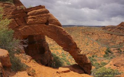 Red Cliffs Desert Reserve