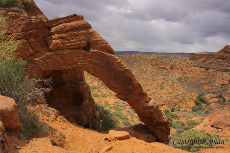 Red Cliffs Desert Reserve website 2 1 768x512