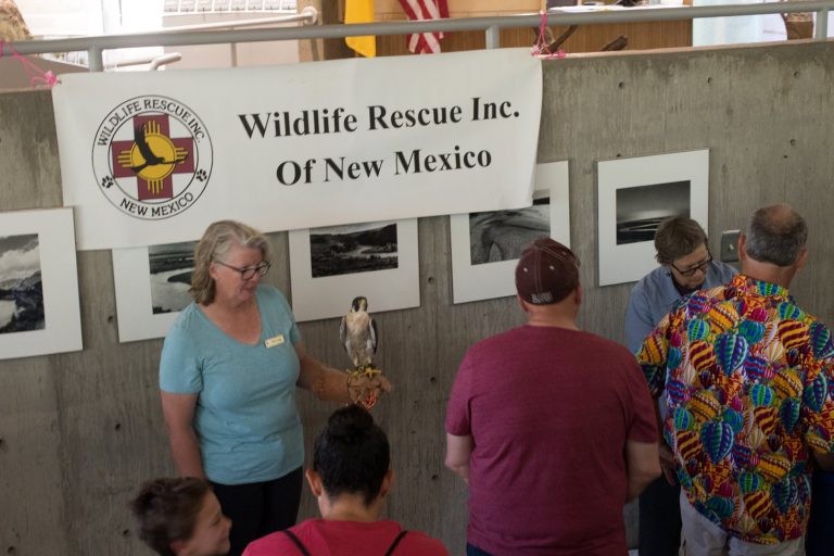 Rio Grande Nature Center State Park live animal demonstrations. Photo credit Friends of the Rio Grande Nature Center Facebook 768x512