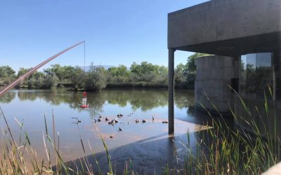 Rio Grande Nature Center State Park