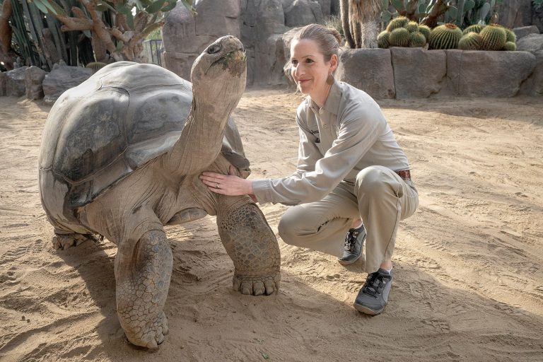 San Diego Zoo touch therapy with the animals. Photo credit San Diego Zoo Facebook 768x512
