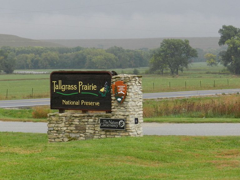Tallgrass Prairie National Preserve Djngsf CC BY SA 4.0 768x576