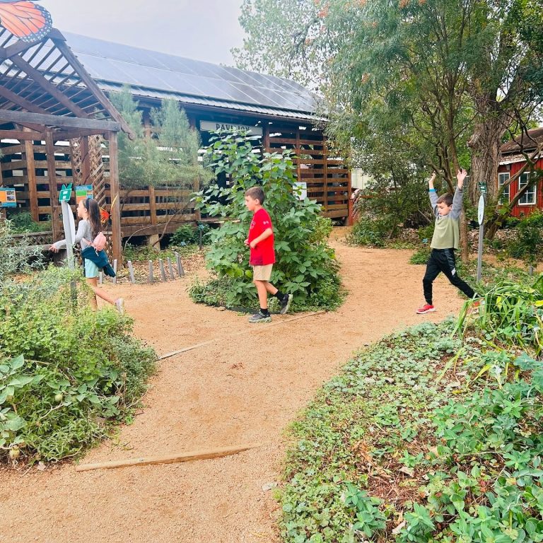 Texas Discovery Gardens kids programs. Photo credit Texas Discovery Gardens at Fair Park Facebook 768x768