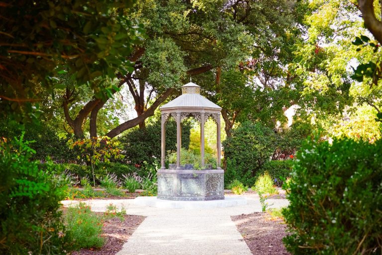 Texas Discovery Gardens outdoor garden. Photo credit Texas Discovery Gardens at Fair Park Facebook 768x512