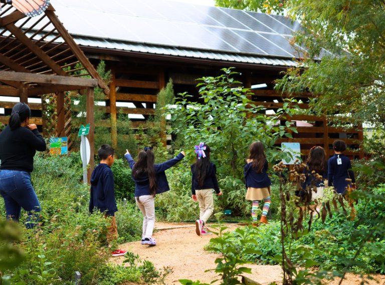 Texas Discovery Gardens school field trip. Photo credit Texas Discovery Gardens at Fair Park Facebook 768x569