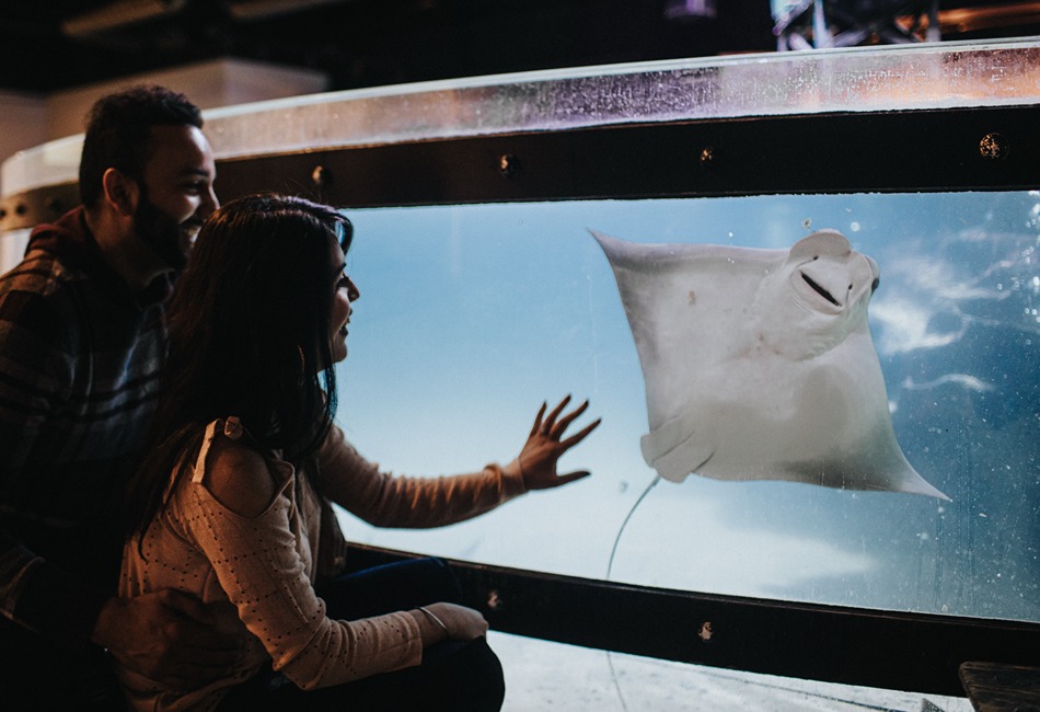 Aquarium And Adventure park