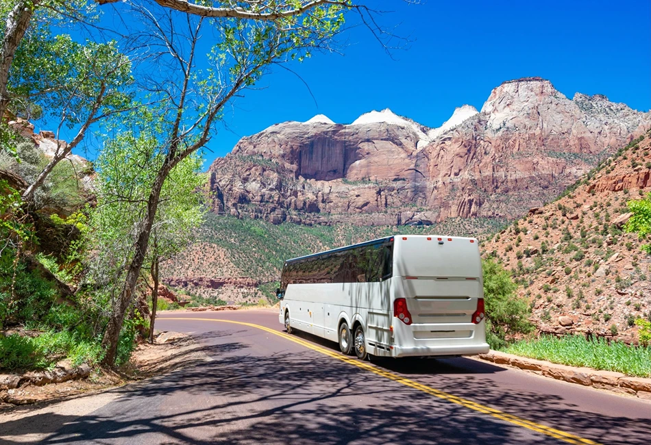 Photo courtesy of Michael Warren from Getty Images Signaturevia Canva.com