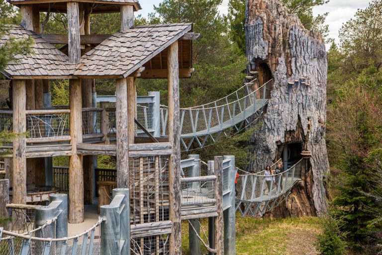 The Wild Center 1 768x512