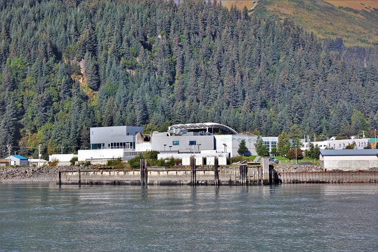 Alaska SeaLife Center Enrico Blasutto CC BY SA 4.0 768x512