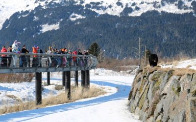Alaska Wildlife Conservation Center