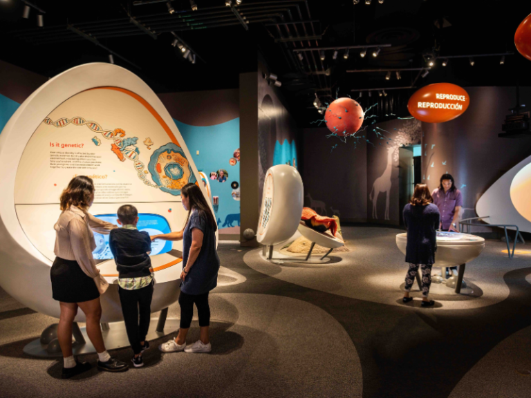 California Science Center website 1 768x576