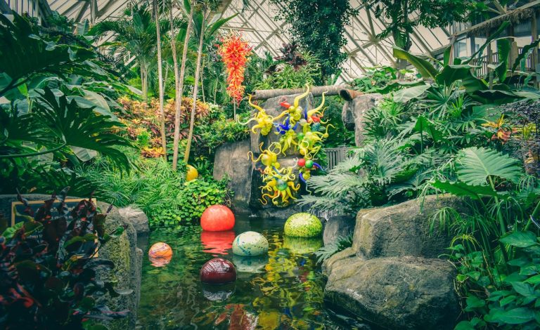 Chihuly Garden and Glass pexels chris f 38966 6664467 1 768x470