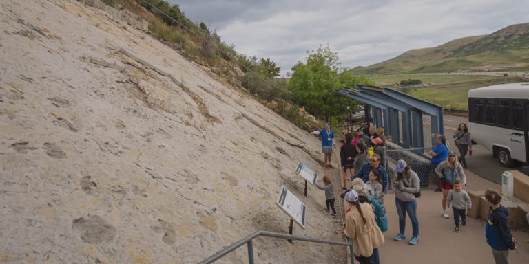 Dinosaur Ridge website 1 768x384