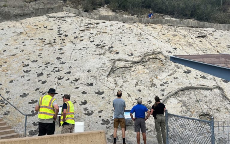 Dinosaur Ridge website 2 768x480