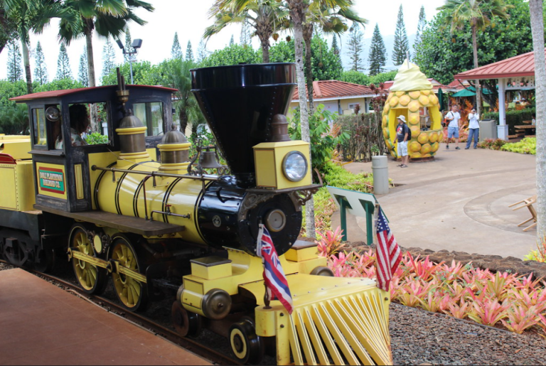 Dole Plantation Photo by jjandames on Flickr 1 768x515