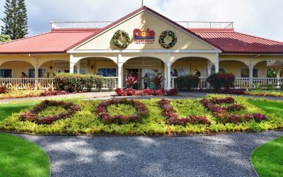 Dole Plantation