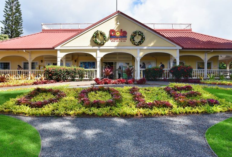 Dole Plantation Photo by jpellgen on Flickr 1 768x519