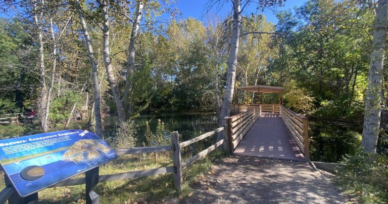 MK Nature Center website 1 768x403