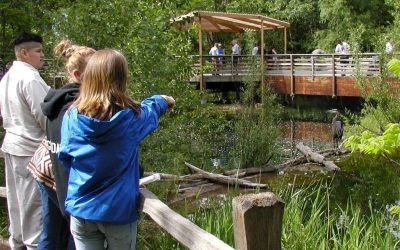 MK Nature Center