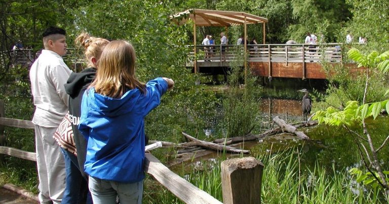 MK Nature Center website 2 768x403