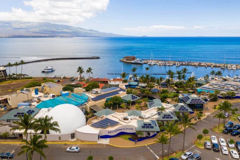 Maui Ocean Center website 3 768x512