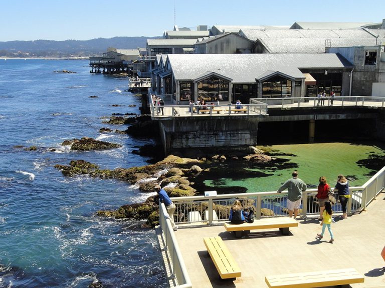 Monterey Bay Aquarium Daderot CC0 via Wikimedia Commons 768x576